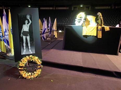 הארון שהוצב בהיכל (אלן שיבר)