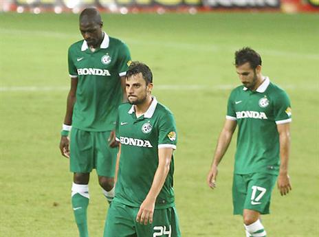 מישהו אמר רכש בינוני? (צילום: אלן שיבר)