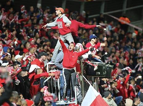 הדרומיים קיוו לנצח שוב (אלן שיבר)