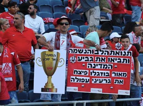 (צילום: אלן שיבר)