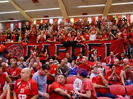 השינוי כבר כאן. מתחילים עם הדרייב אין (יוסי לזרוף)