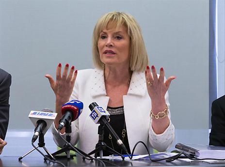 די להפליה. שטרק במסיבת העיתונאים