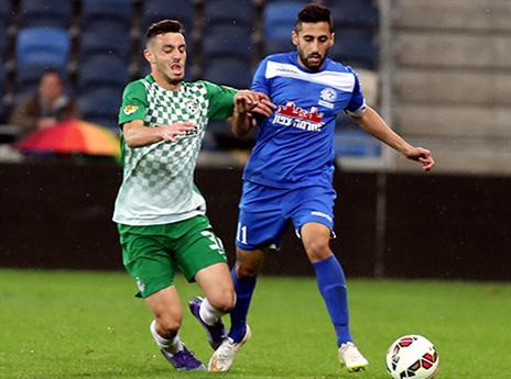 לביא. המנוע של הירוקים (יוסי שקל)