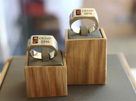 טבעות האליפות (אלן שיבר)