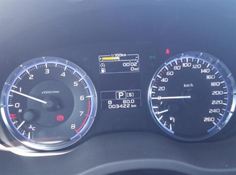 (צילום: כפיר כשריאן)