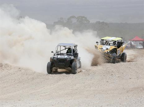 (צילום: רונן טופלברג)