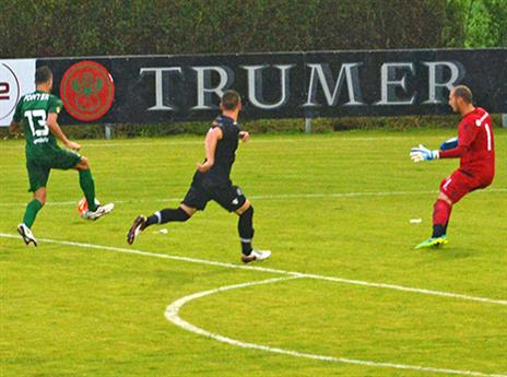 ממשיך להתאקלם. רוקביצה (צילום: מכבי חיפה)