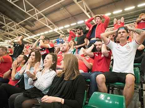 אוהדי וויילס מבינים שהחלום נגמר (getty)
