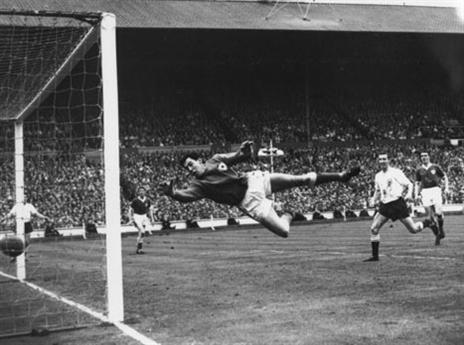 גורדון בנקס. אופטימי