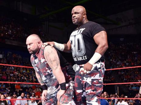 פוגשים בזוג מבטיח. הדאדליז בויז (WWE.COM)