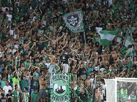 עוד הצגה של הקהל הירוק (אלן שיבר)