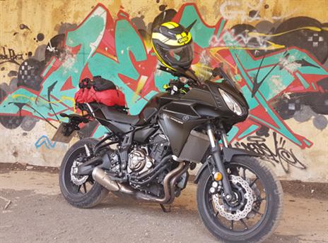 פרופורציות נפלאות