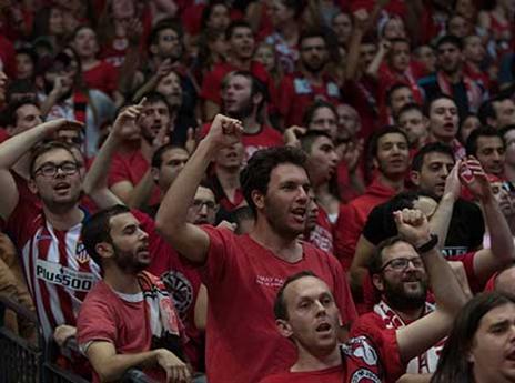 הקהל בארנה סיפק הצגה (צילום: ניר קידר)