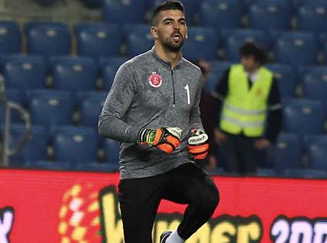 (צילום: אלן שיבר)