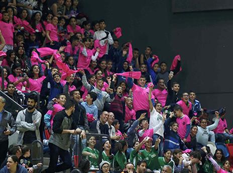 חגיגה בדרייב אין (אלן שיבר)