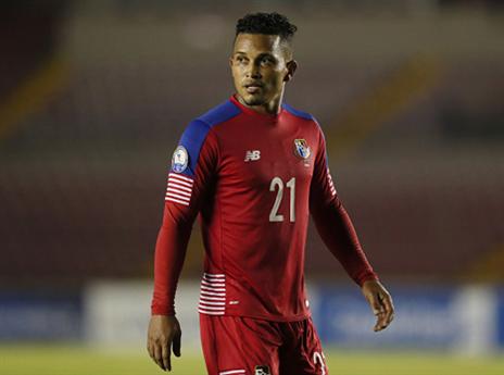 הספיק לערוך 75 הופעות במדי הנבחרת. הנריקס (getty)