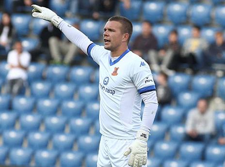 זובאס. המליץ (אלן שיבר)