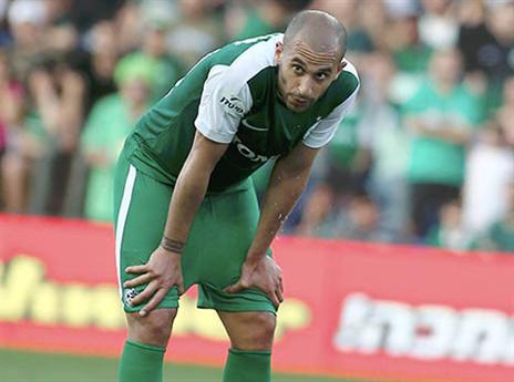 שובו של דמארי (אלן שיבר)