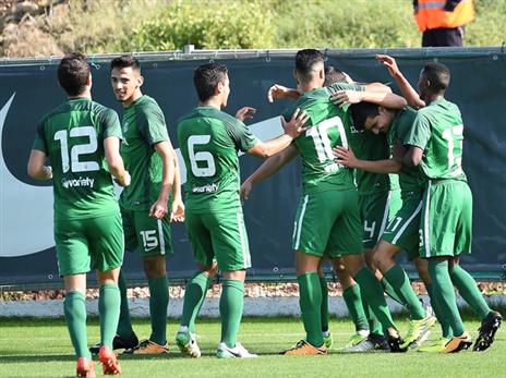 עדיין בתמונת הצמרת. מכבי חיפה (צילום: האתר הרשמי)