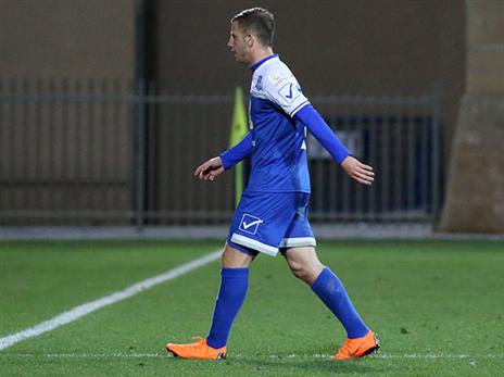 כל שחקני הקבוצה ספגו ביקורת חוסר הלחימה (יוסי שקל)