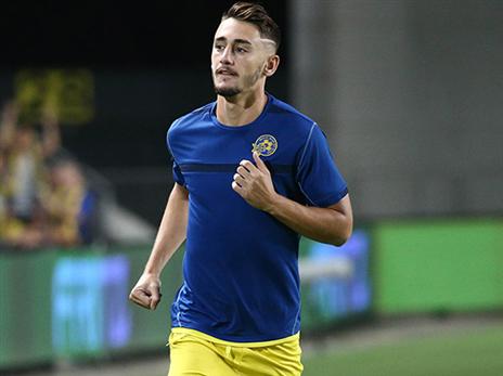 אצילי. תעשייה משגשגת (דני מרון)