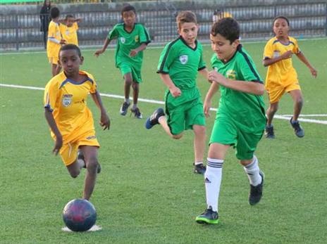 (צילום: אביב הברון)