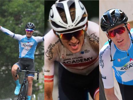 חולמים על הטור