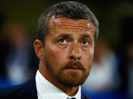 דמיון בין יוקאנוביץ' לאיביץ' (getty)