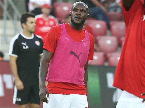 יבקש הבהרות. סטו (אלן שיבר)