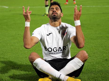 פורח תחת מימר. זמיר (אודי ציטיאט)