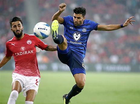 אין יריבה ממשית על התואר (אלן שיבר)