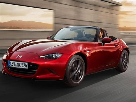 (צילום: יצרן)