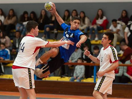 (התאחדות הכדוריד של קוסובו)