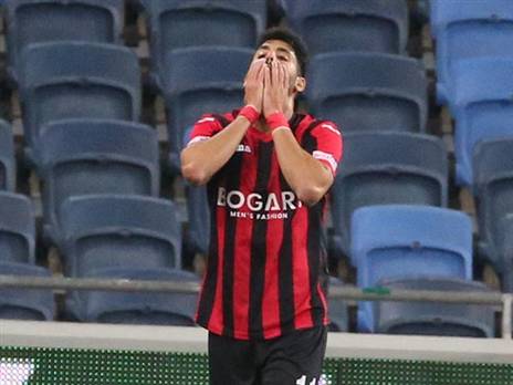 זמיר. יש משימה מיידית לעשות (יוסי שקל)