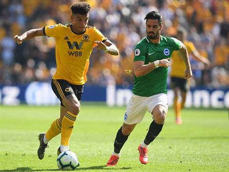 יישאר בברייטון? כיאל (getty)