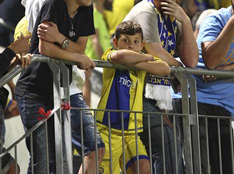 הקהל הצהוב. יחזור הביתה? (אלן שיבר)