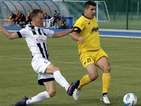 כבש. בצ'יראי (קרדיט: אתר סאנדציה)