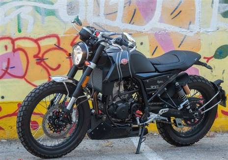 (צילום: עמרי גוטמן)