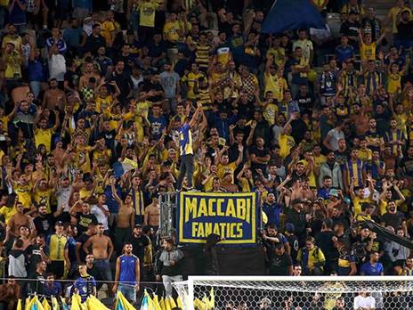 אוהבים את מה שהם רואים (אלן שיבר)