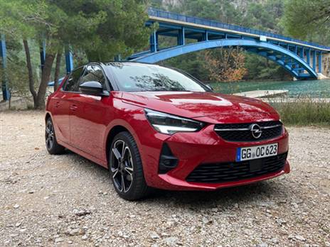 (צילום: אופיר דואק)