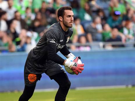 זלמנוביץ' עלה במקומו של גלזר, ובקבוצה היו מרוצים. (ברני ארדוב)