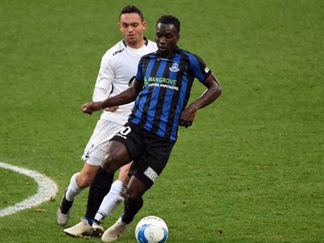 (ברני ארדוב)