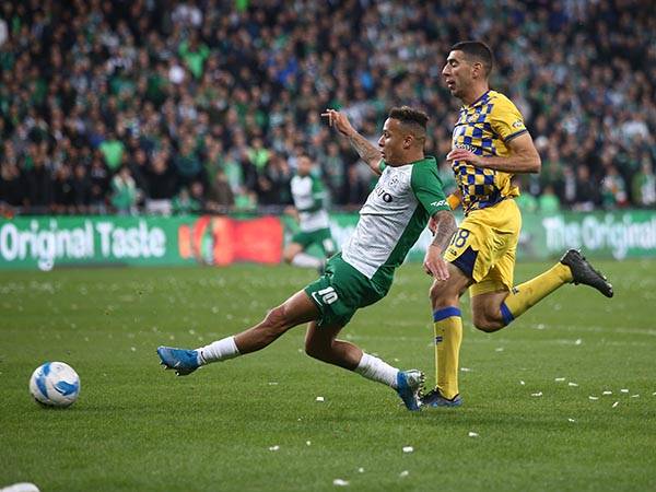 (צילום: אלן שיבר)