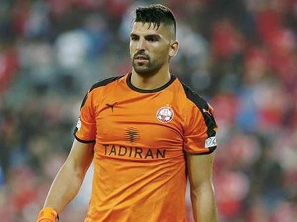 הרוש יחזור לעניינים (אלן שיבר)