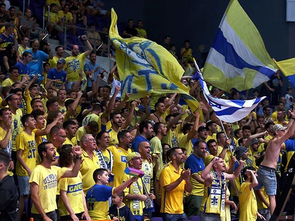 הקהל יחזור? (אלן שיבר)