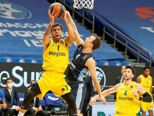 (צילום: שיבר)