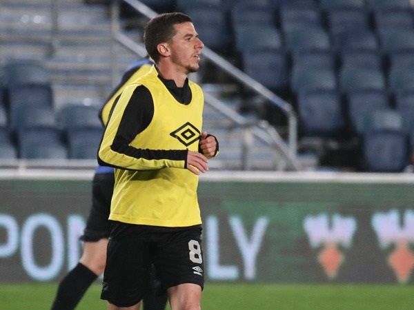 (צילום: דני מרון)