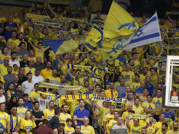 "הקהל של מכבי ת"א - הכי חכם באירופה" (אלן שיבר)