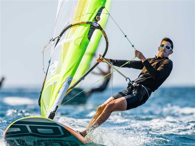 אלימלך (צילום: João Costa Ferreira - osga_photo)