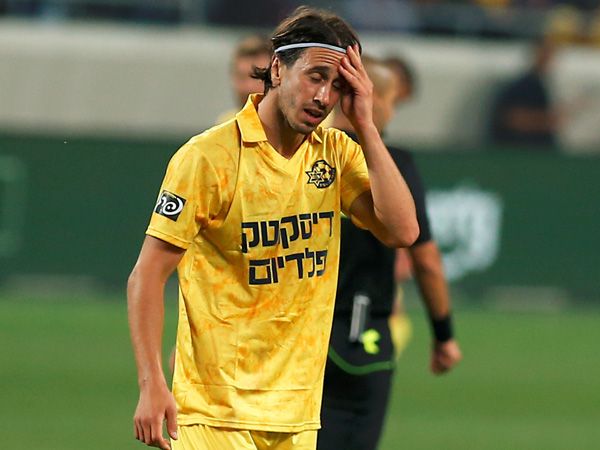 (צילום: אלן שיבר)